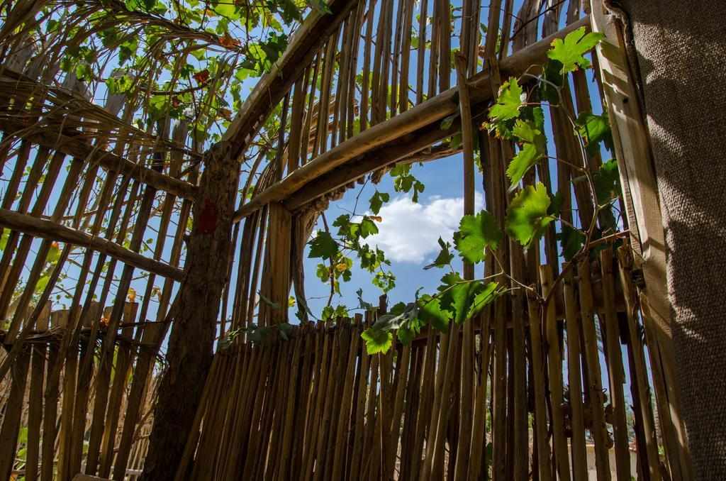 Kfar Hanokdim - Glamping & Camping Arad Exterior photo